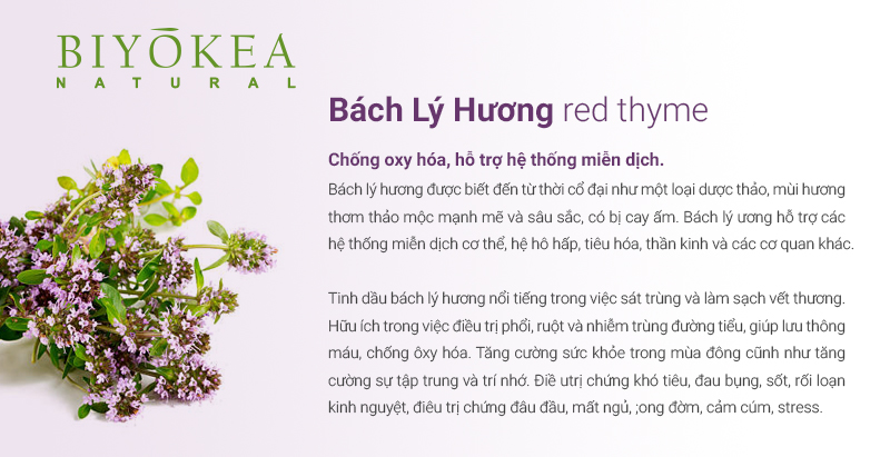 baclyhuuong