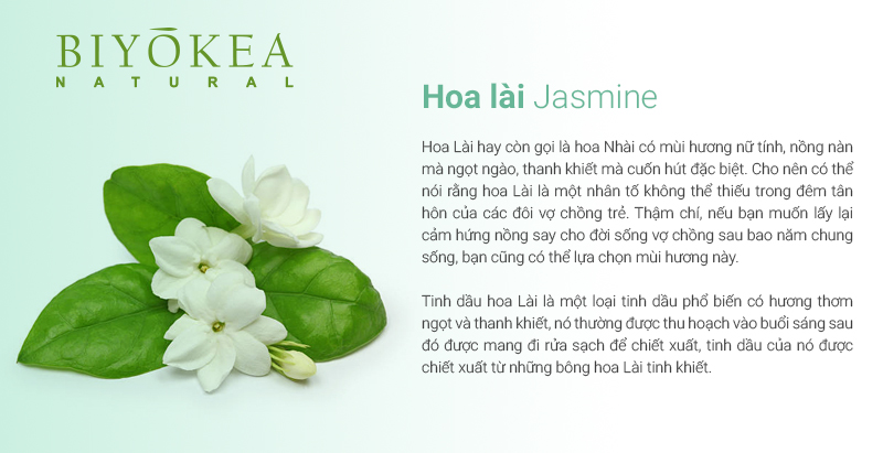 hoa lai