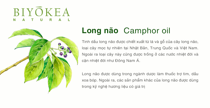 camphor long nao
