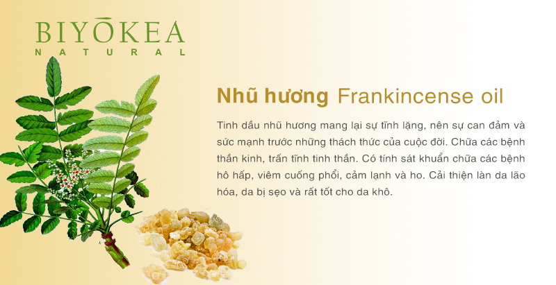 frankincense nhu huong