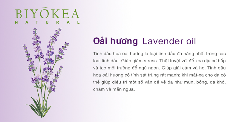 lavender oai huong