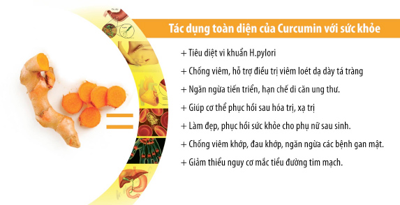 tac dung cua tinh bot nghe