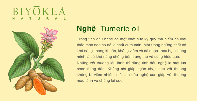 turmeric nghe