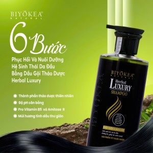 Hệ sinh thái da đầu: Yếu tố quyết định mái tóc khỏe từ gốc