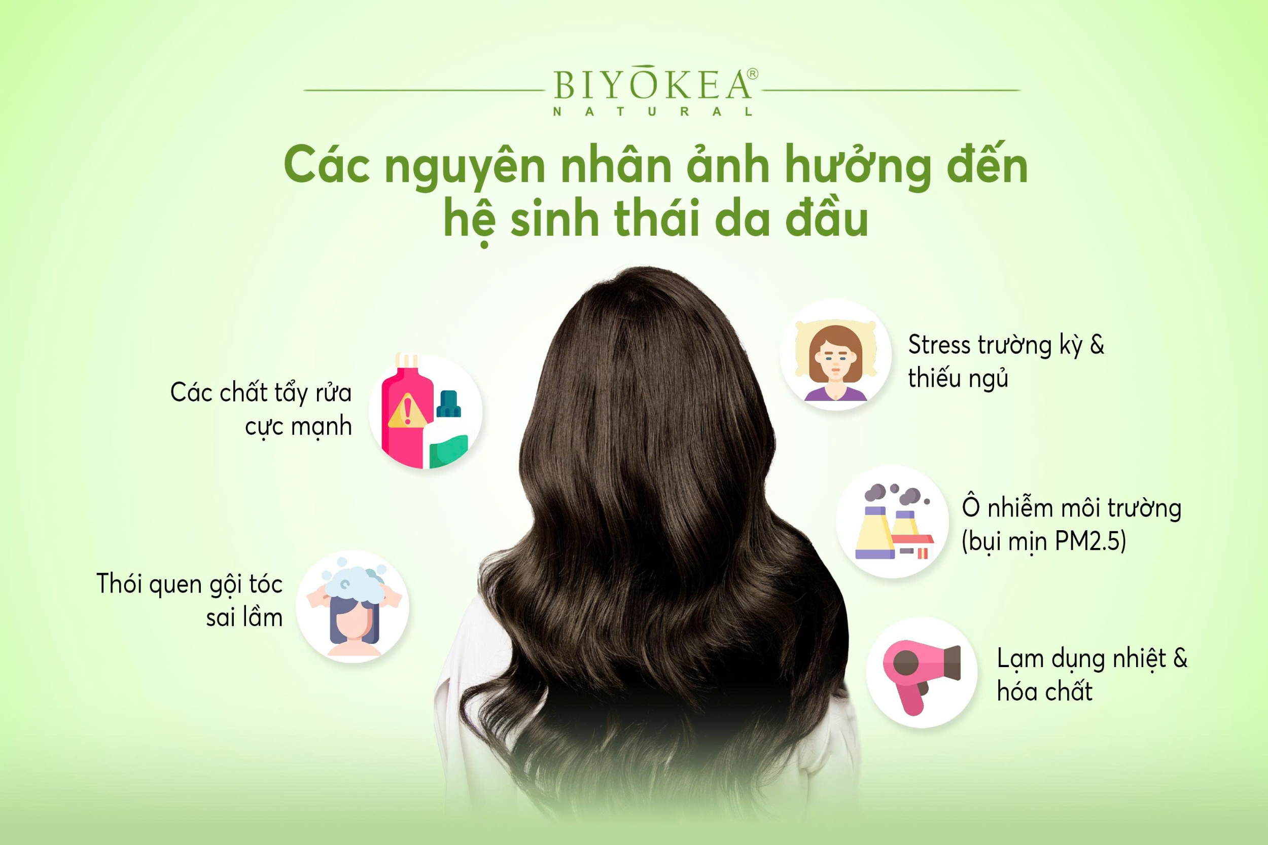 Các nguyên nhân ảnh hưởng đến hệ sinh thái da đầu