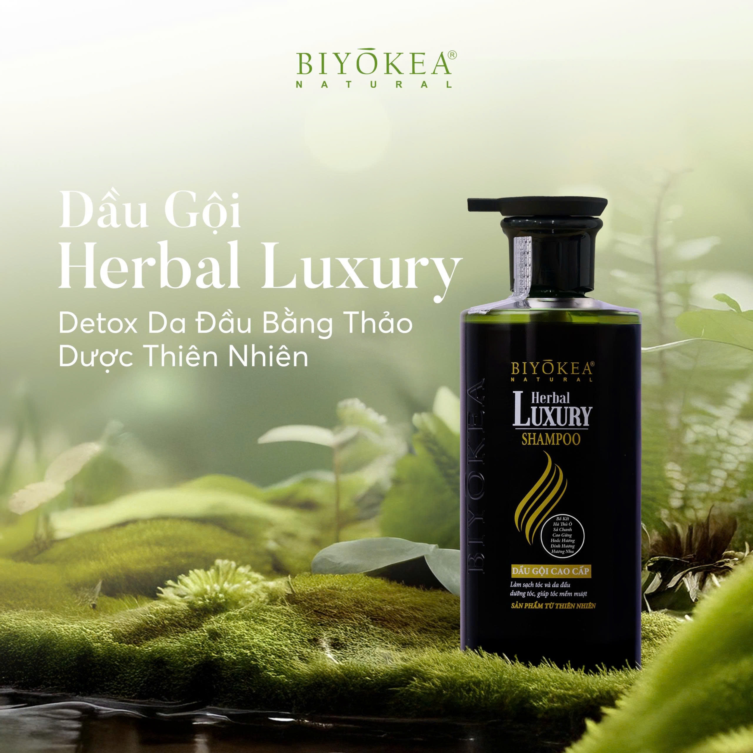 Detox da đầu bằng dầu gội Herbal Luxury