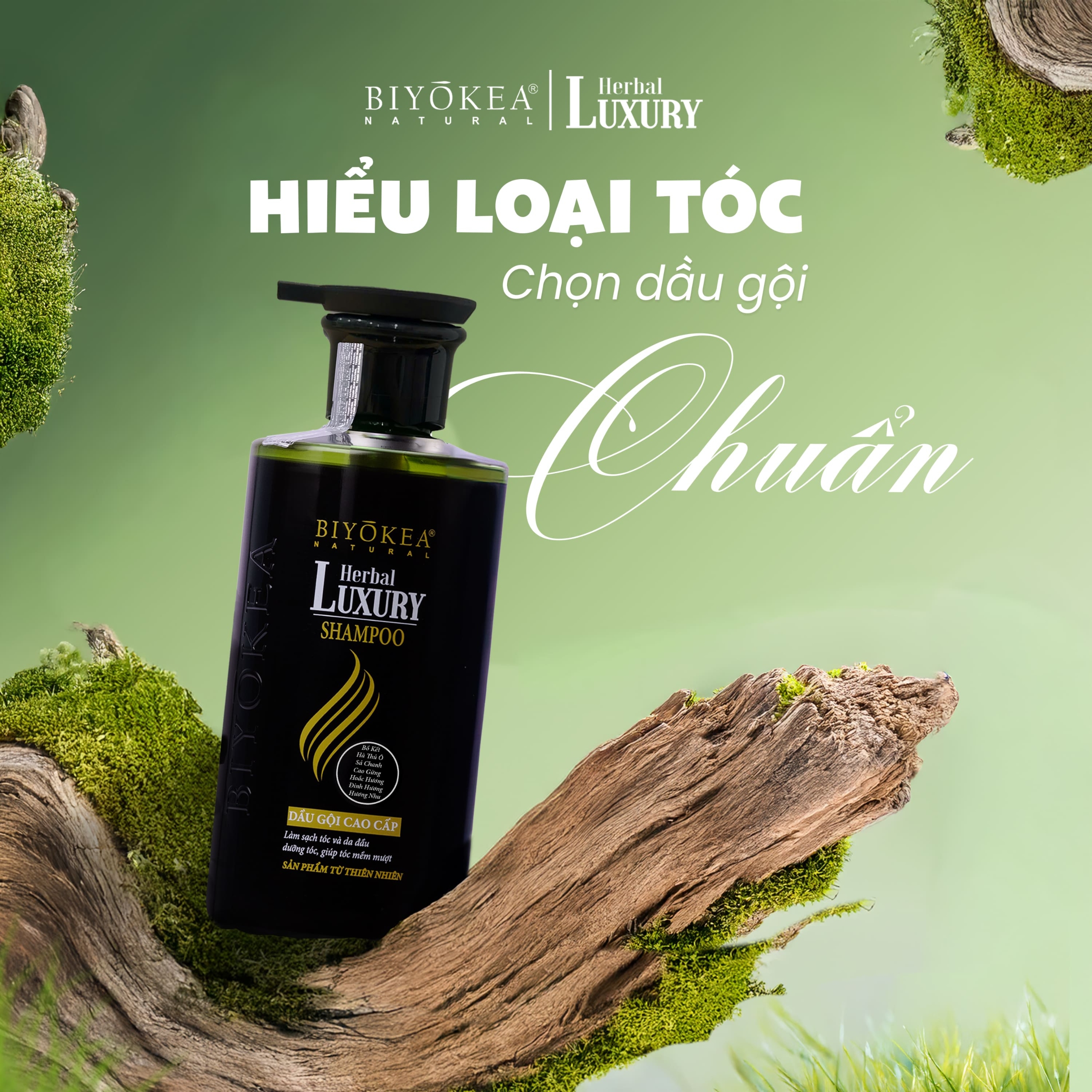 Hiểu rõ tính cách tóc để lựa chọn dầu gội