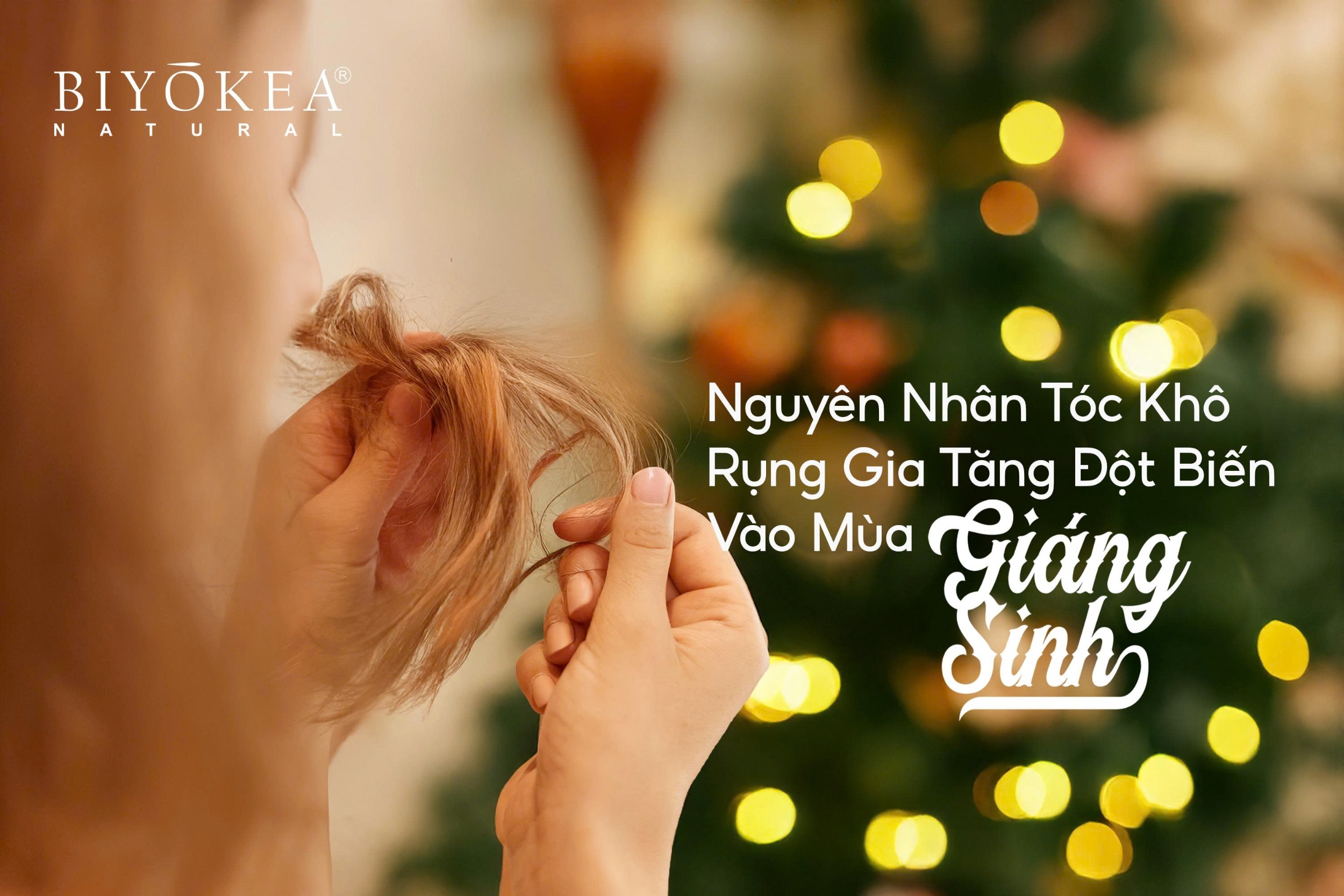 Nguyên nhân tóc khô rụng