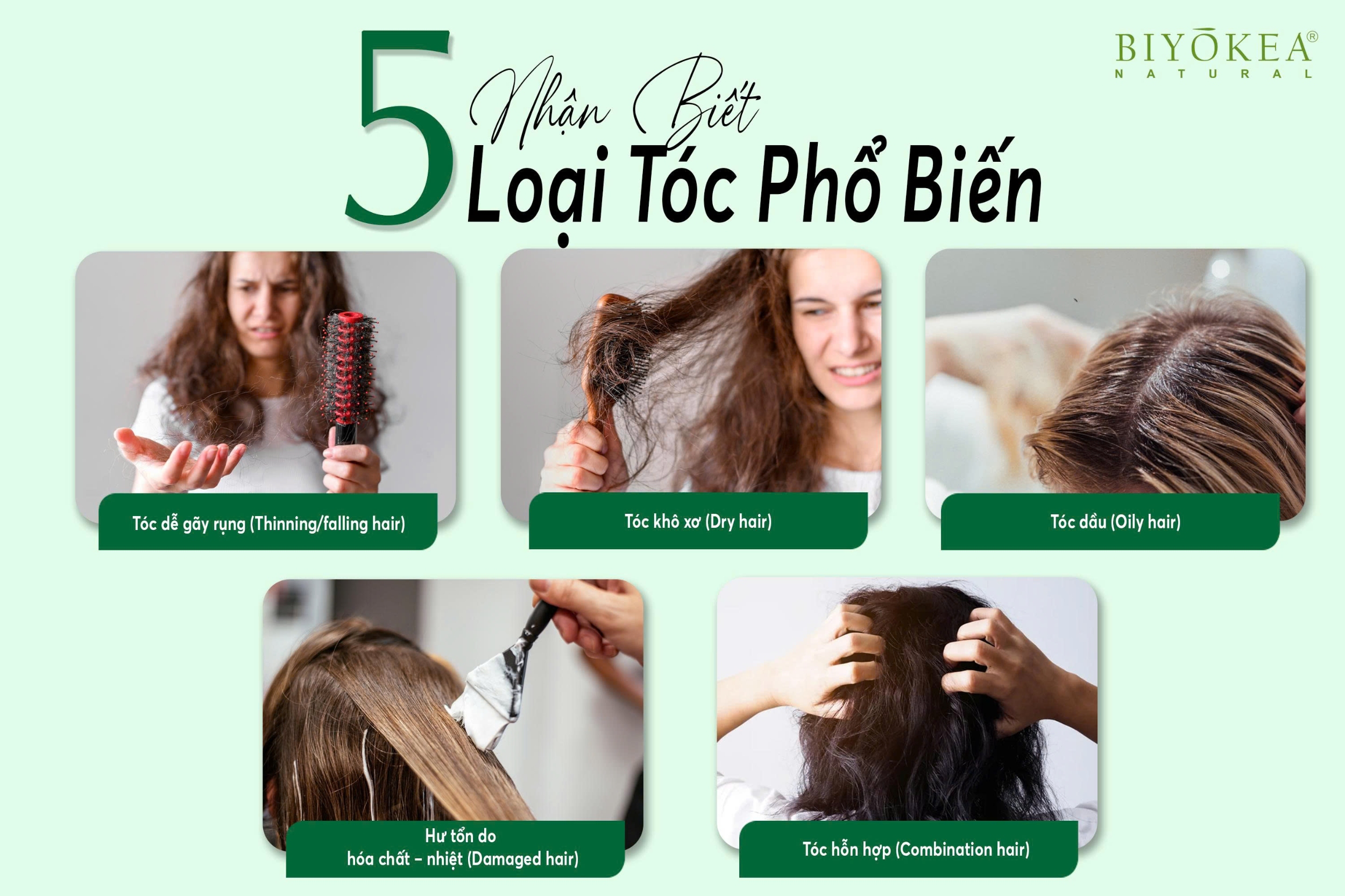 Nhận biết 5 loại tóc phổ biến