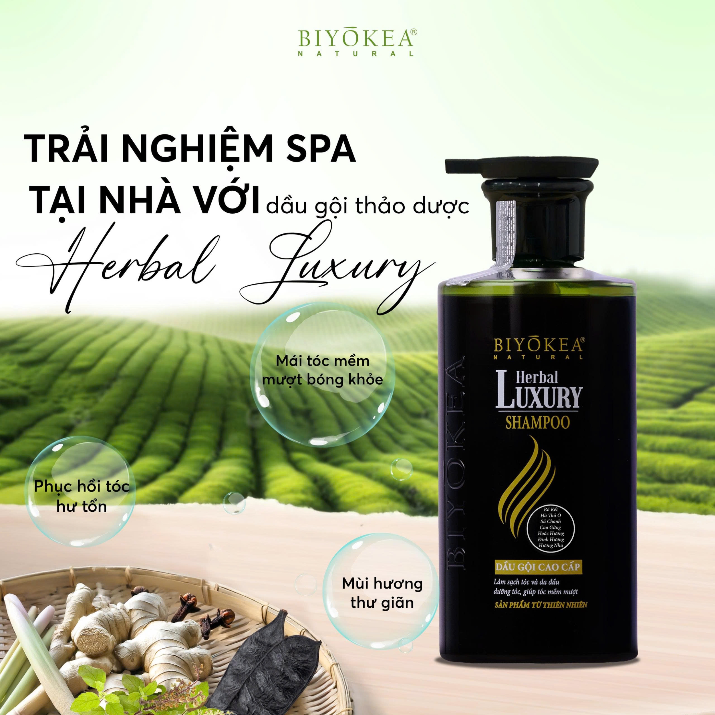 Trải nghiệm spa tại nhà với dầu gội thảo dược Herbal Luxury