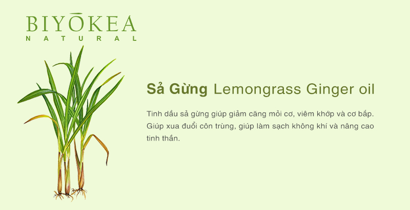 lemongrass ginger sa gung